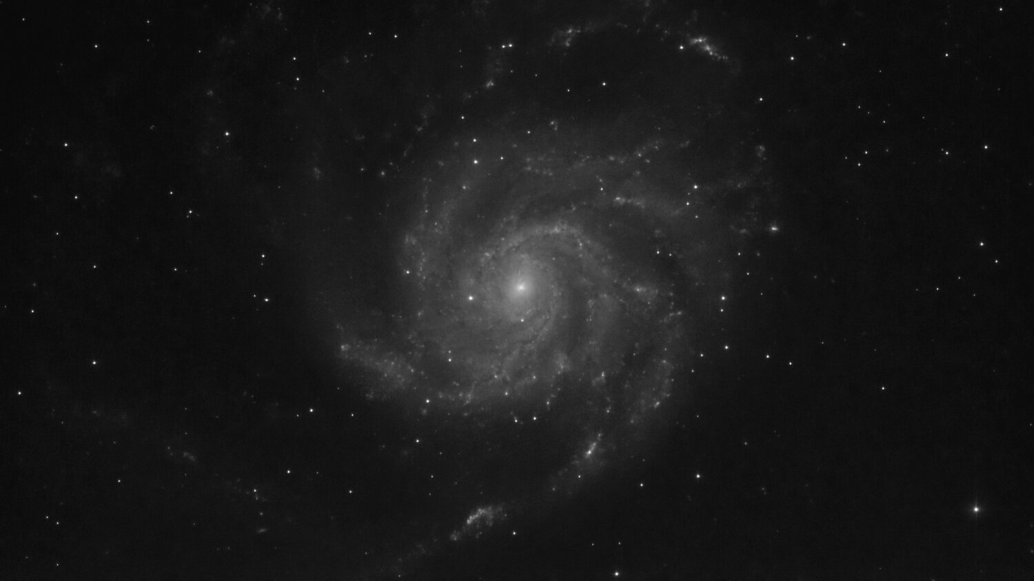 M101_Uma_320x10s-2.thumb.jpg.6f7fba538c25784e82812adbbda0c12f.jpg