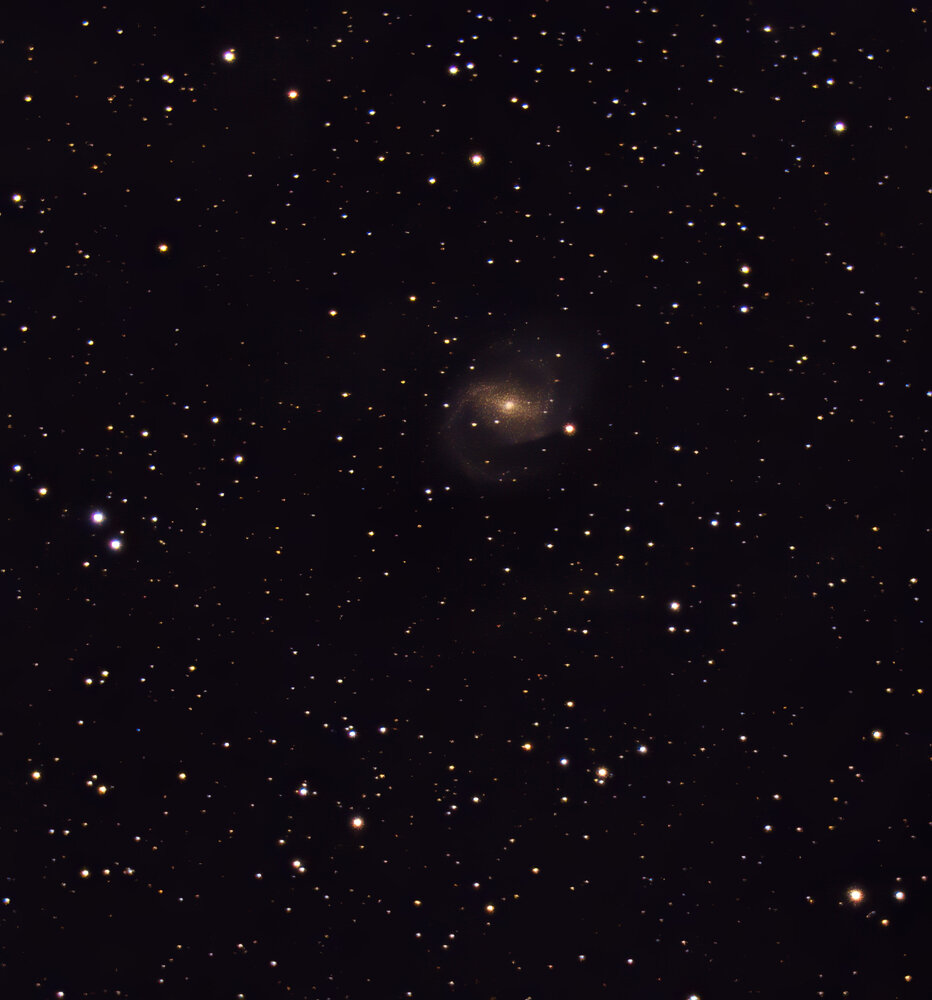 NGC6952.thumb.jpg.af4dc35b7ddb23fa5382f7ec0985e5bd.jpg