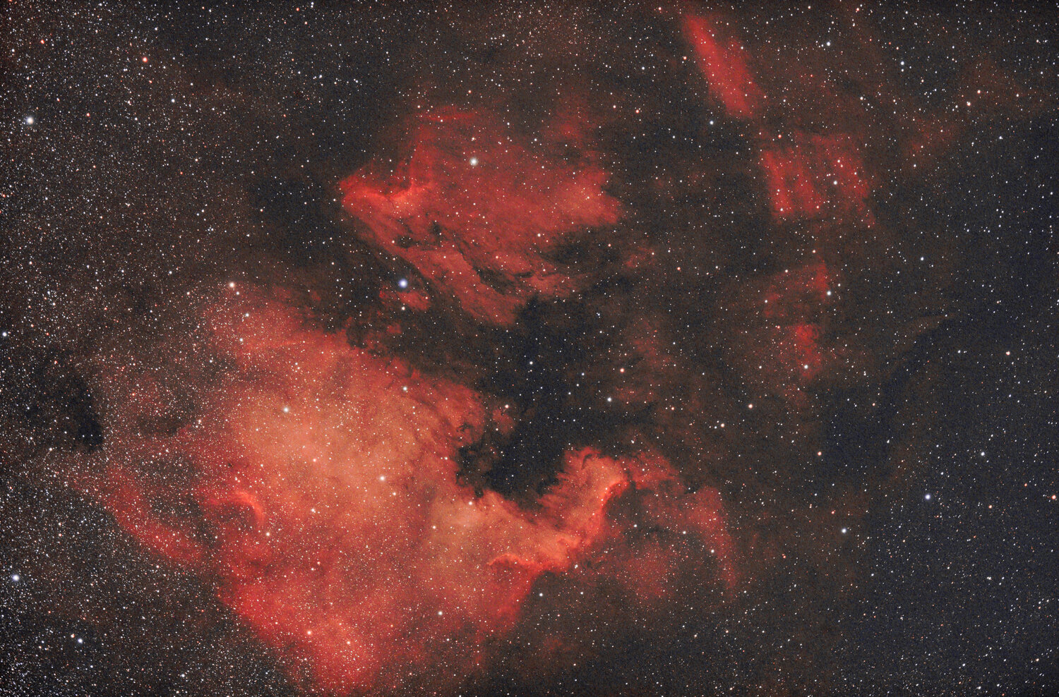 NGC7000_PS_LR.thumb.jpg.9da345795001038d4ddb673f71e685ab.jpg