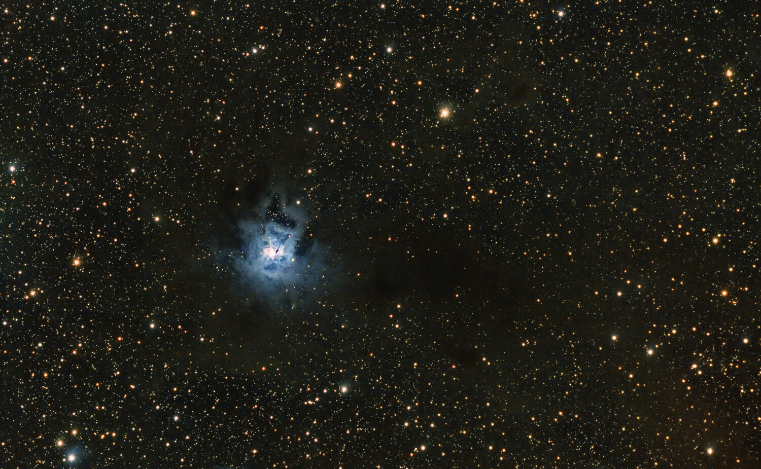 NGC7023_finale_2hlvg.thumb.jpg.506849a8db76f0f65c9aa777d8380496.jpg