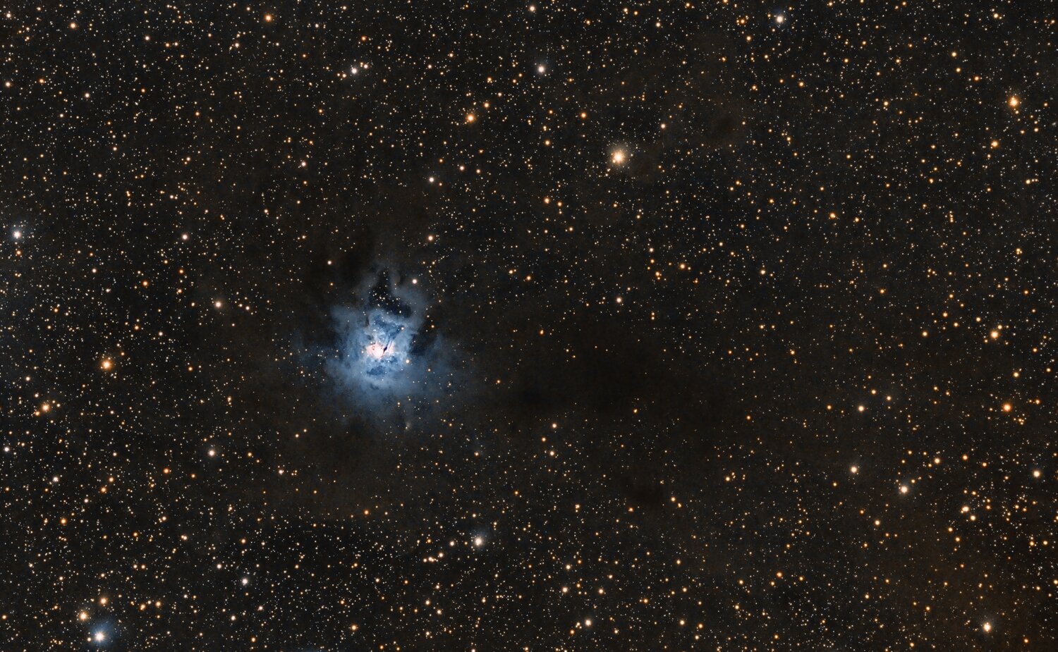 NGC7023_finale_2scnr.thumb.jpg.31d1c18b5dc4b09a9e5189776a3d81f4.jpg