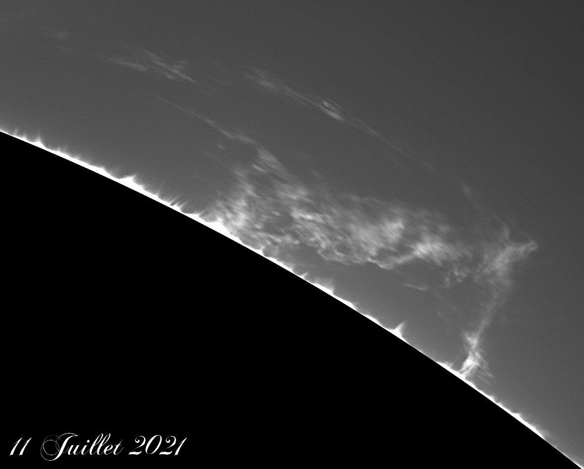 11juillet21-a.jpg.e074fcacff219df2fe98b1cdc401f40c.jpg