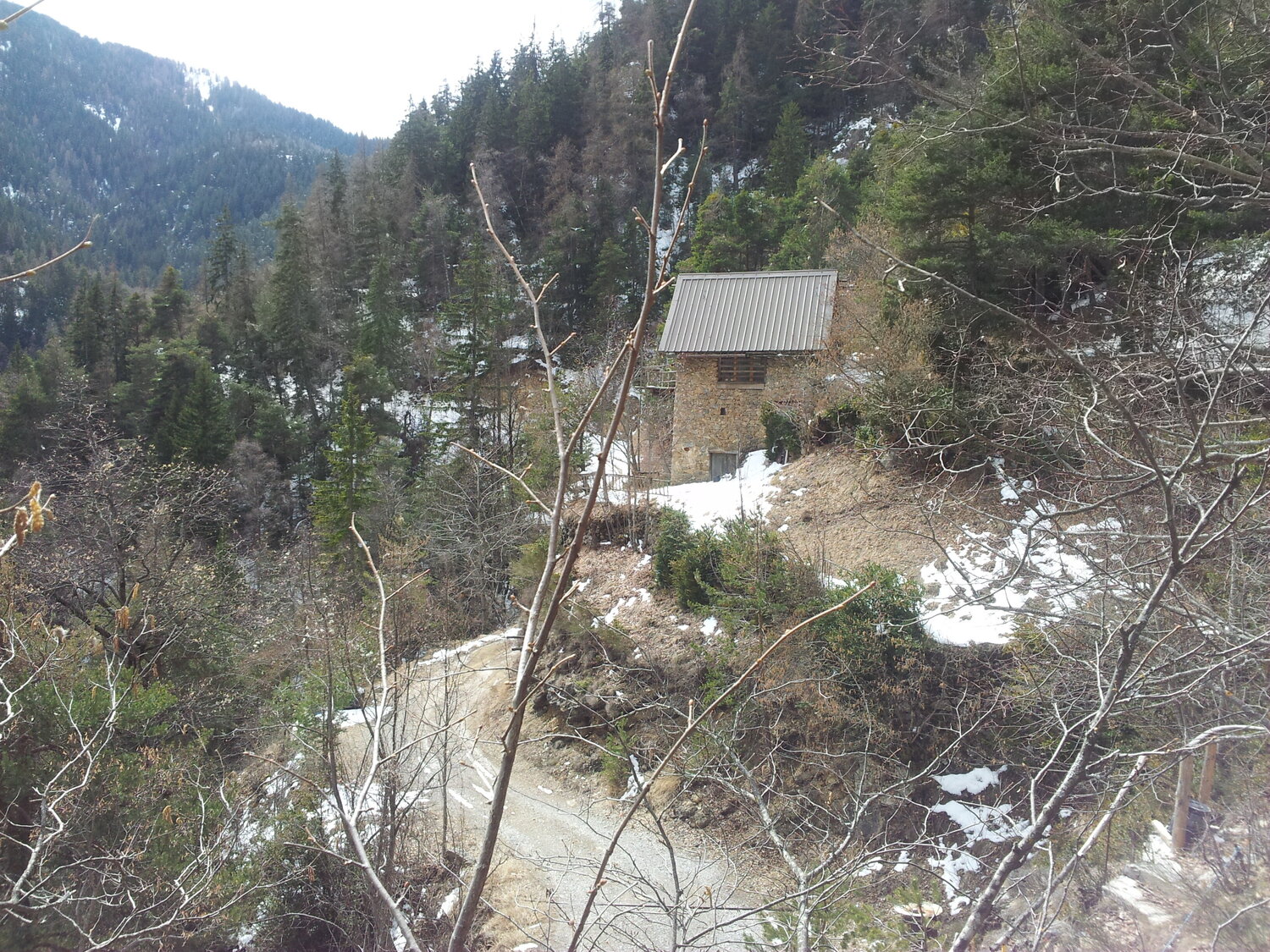 2016-03-11 12.24.22.jpg