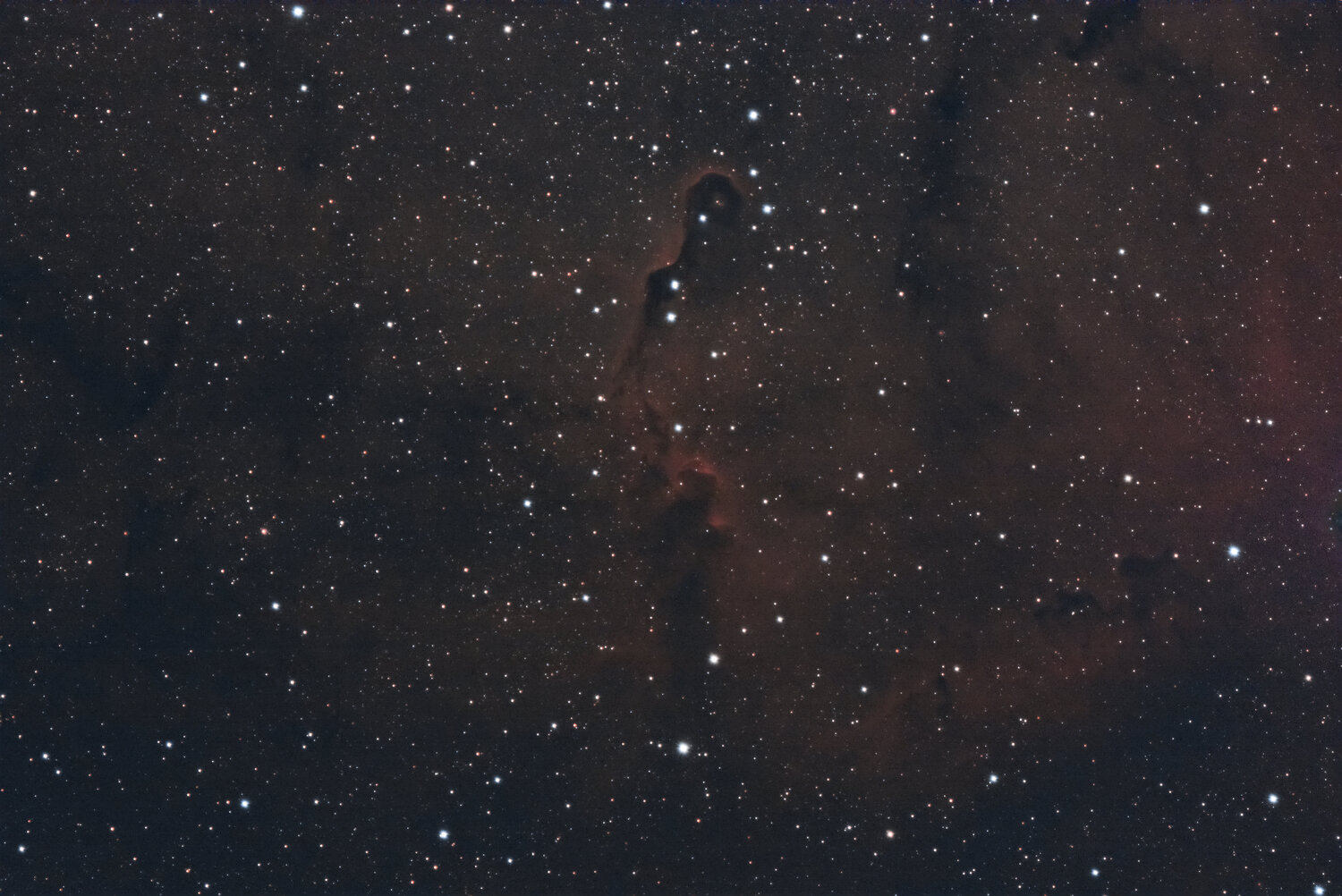 IC1396.thumb.jpg.d47418b2bc0bb2cd1a375844c0e1b442.jpg