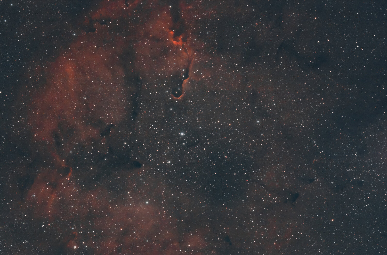 IC1396LR.thumb.jpg.0ed47e2bbf9a9397020450032ef91df9.jpg