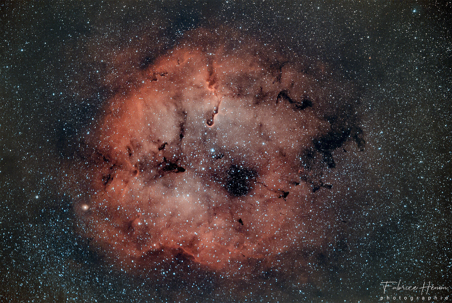 20210801_TROMPE ELEPHANT - IC 1396_2.jpg