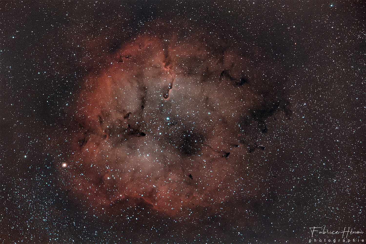 20210801_TROMPE ELEPHANT - IC 1396_1.jpg