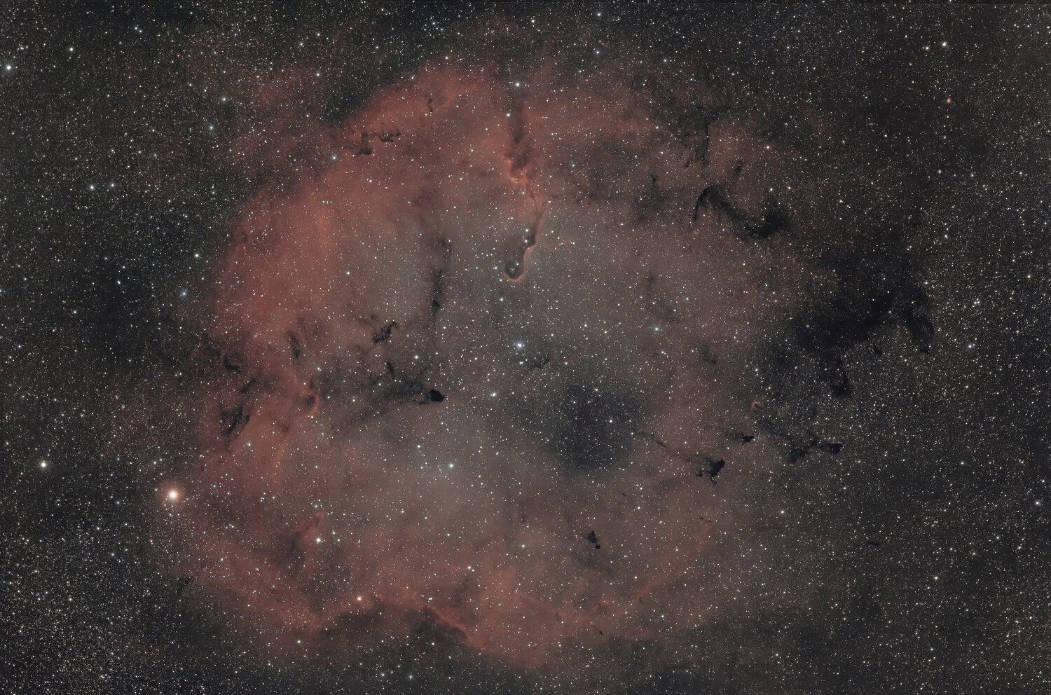 ic1396_LR_final-DeNoiseAI-denoise.thumb.jpg.a4e3bf541daafbcc92e101e04ac3e8f4.jpg
