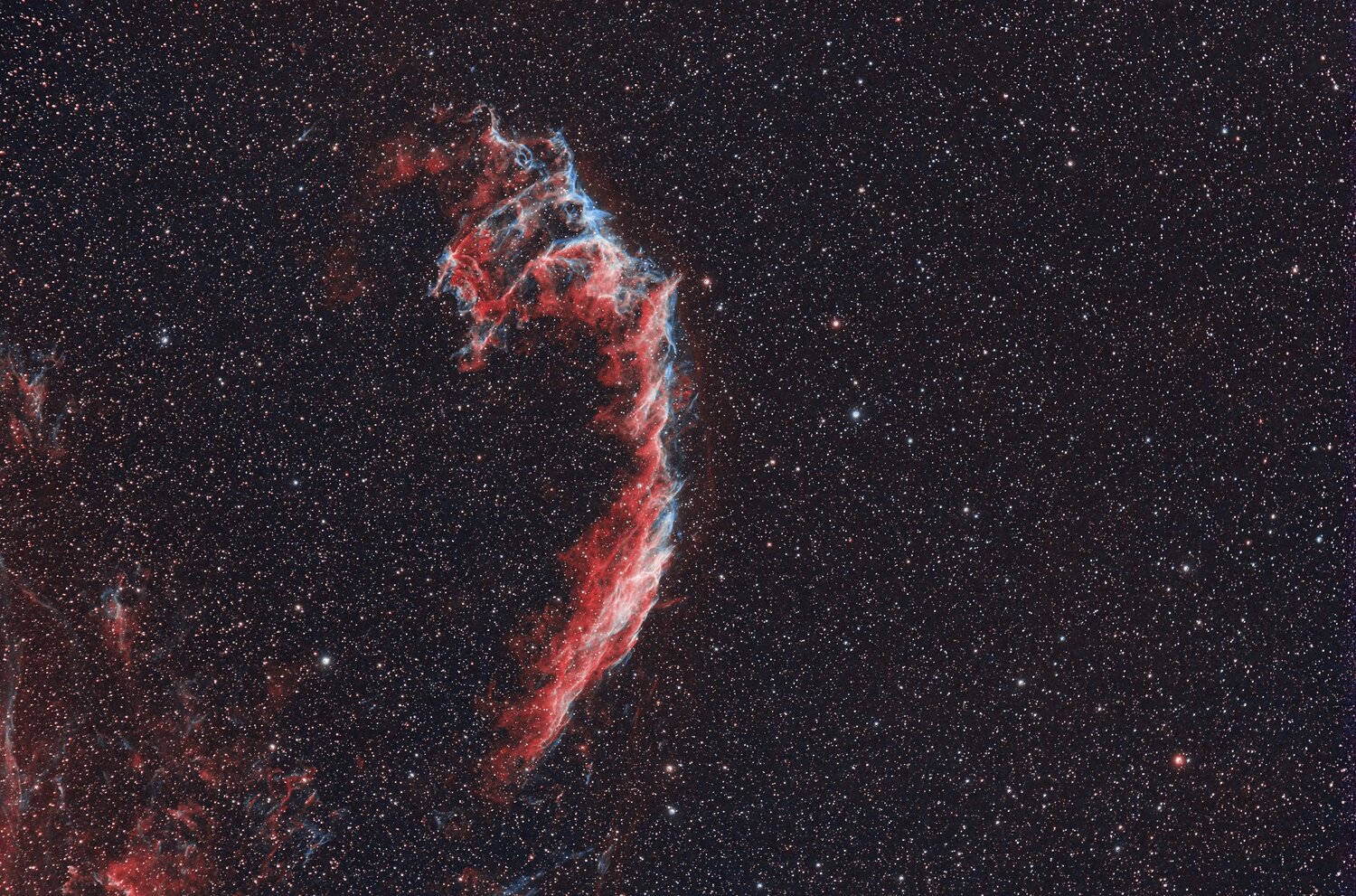 NGC6995 HOV1.jpg