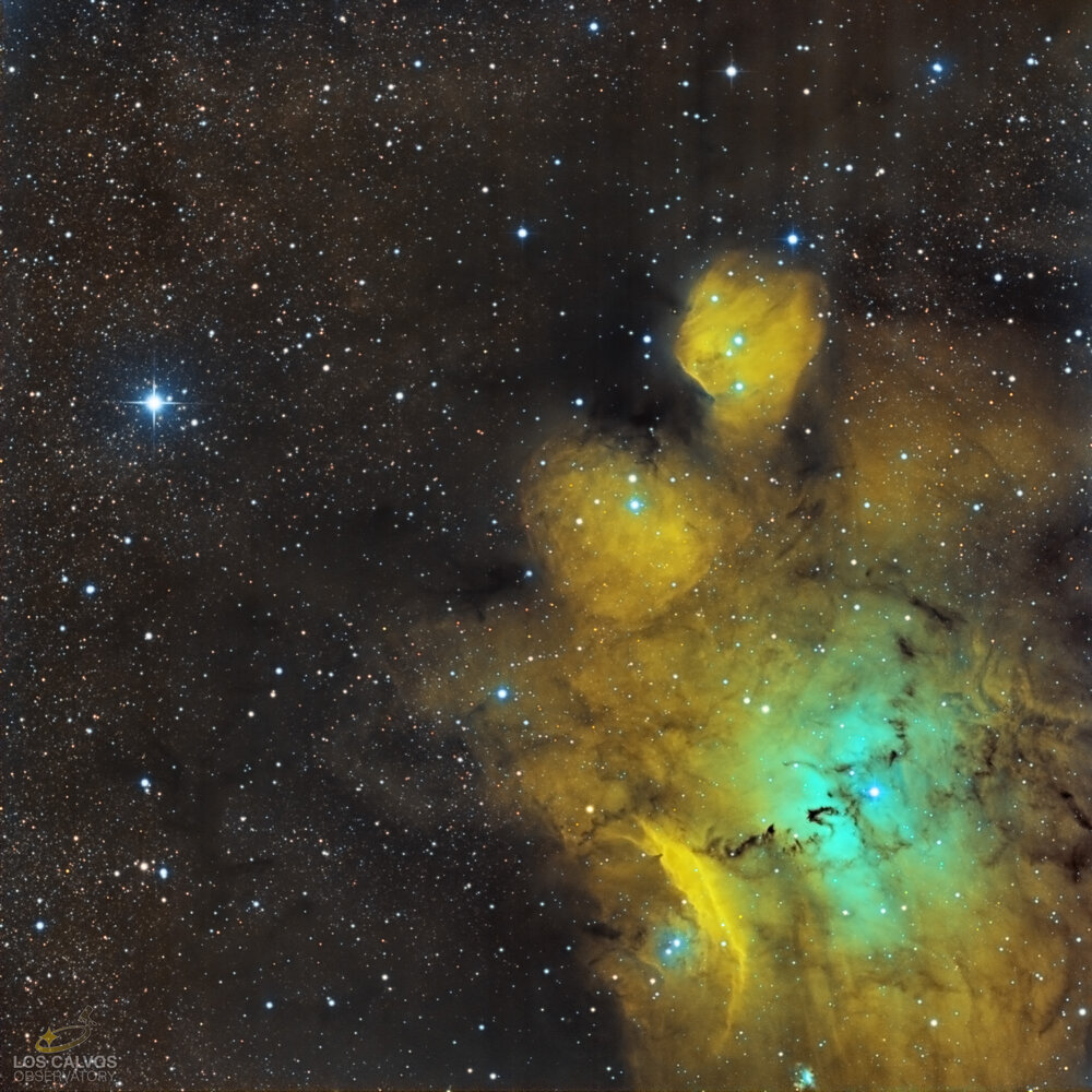 IC_1274_SHO_ABE_denoized_NLLog_magenta_PSLab copiev2_Logo.jpg