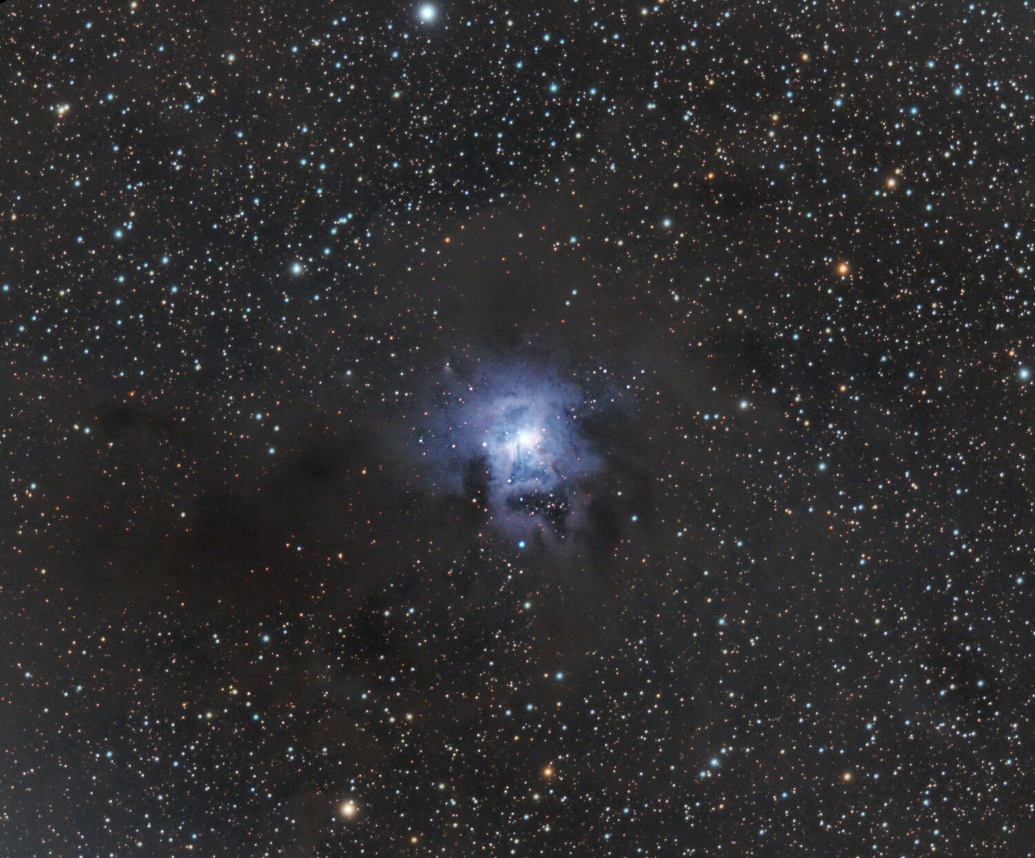 NGC 7023 (Nébuleuse de l'iris) traitée.jpg