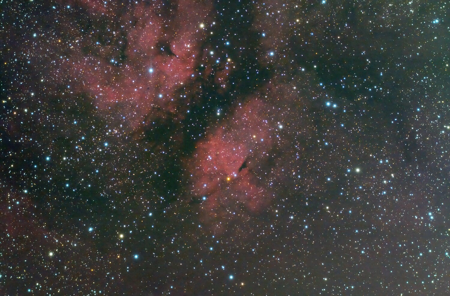 IC1318.jpg