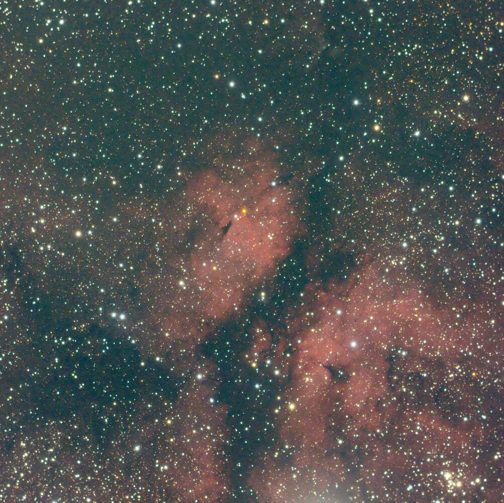 IC1318B.jpg