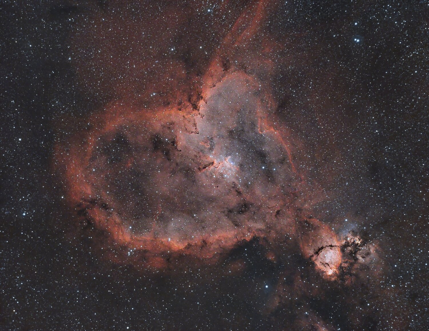 IC1805-DeNoise.thumb.jpg.2318063d559de1d0301376021106bae0.jpg