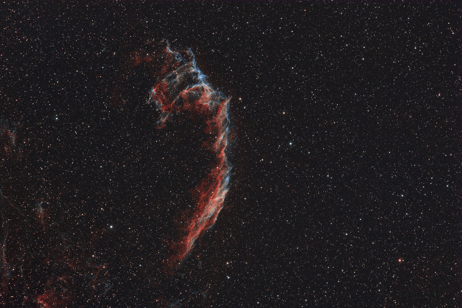 NGC6995.jpg