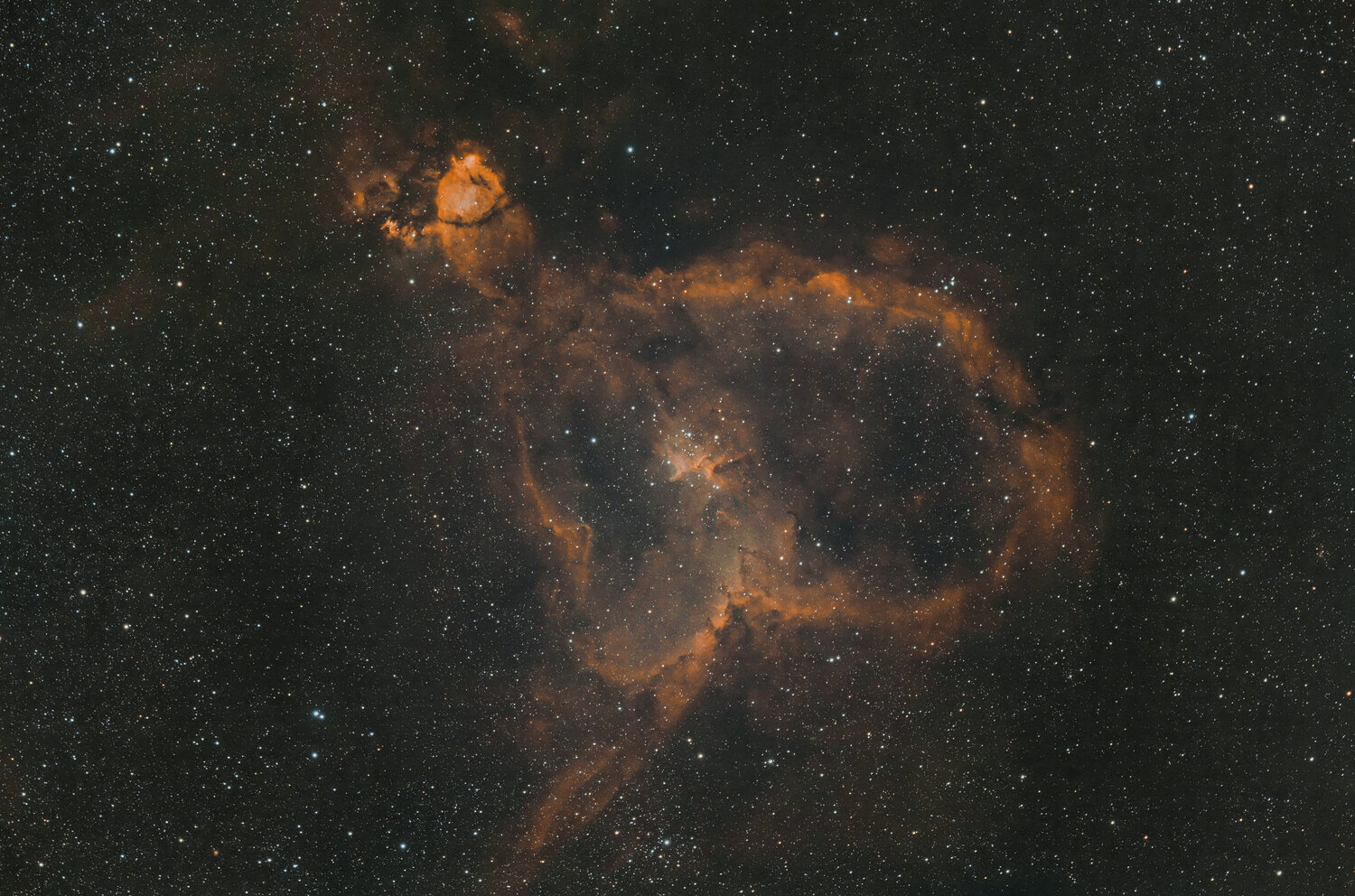 ic1805LR_final.thumb.jpg.c7aef5e727fd1ca271d737fe3da3a996.jpg