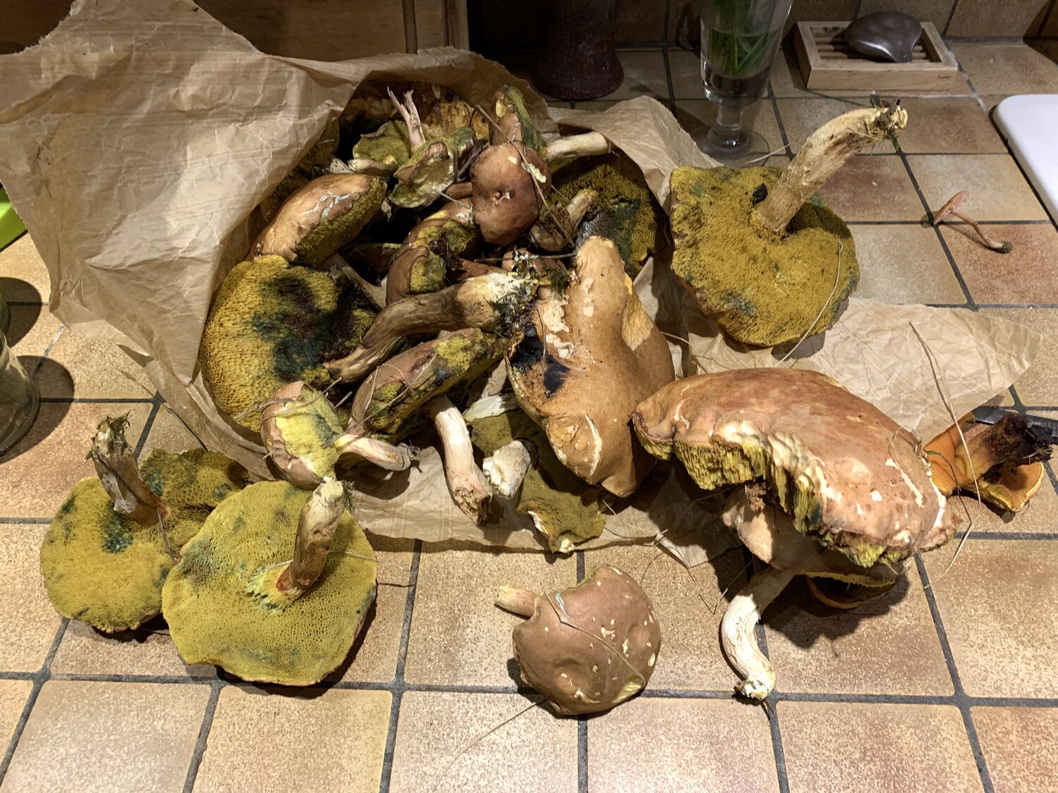 2021-10-06 15.38.15.jpg