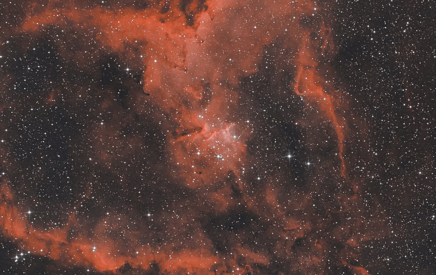 IC1805.thumb.jpg.85b04b41cc789ef1823028854ed7bb8f.jpg