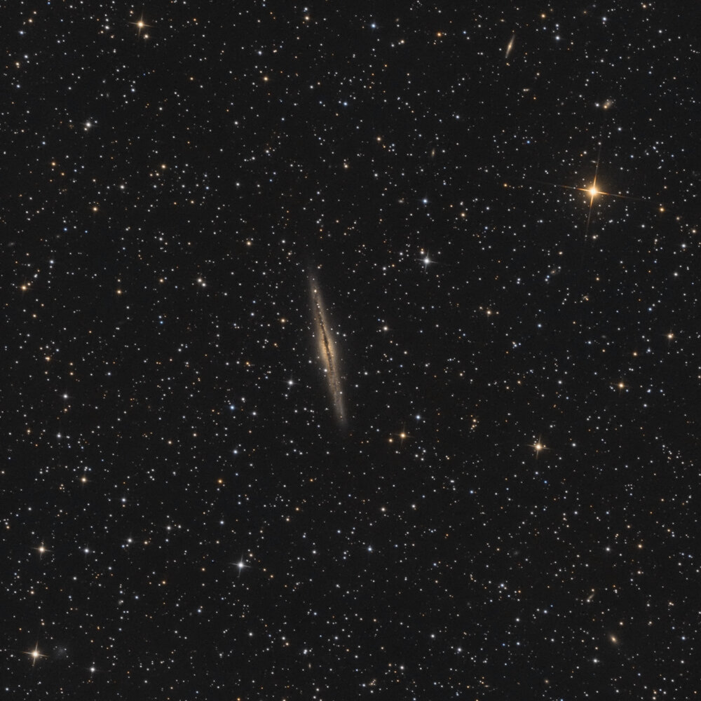 ngc891.jpg.bd72dfb1784ed4d26991de20e6479f00.thumb.jpg.5db2ac106607e1fb6a1f93e4cadfbc1c.jpg
