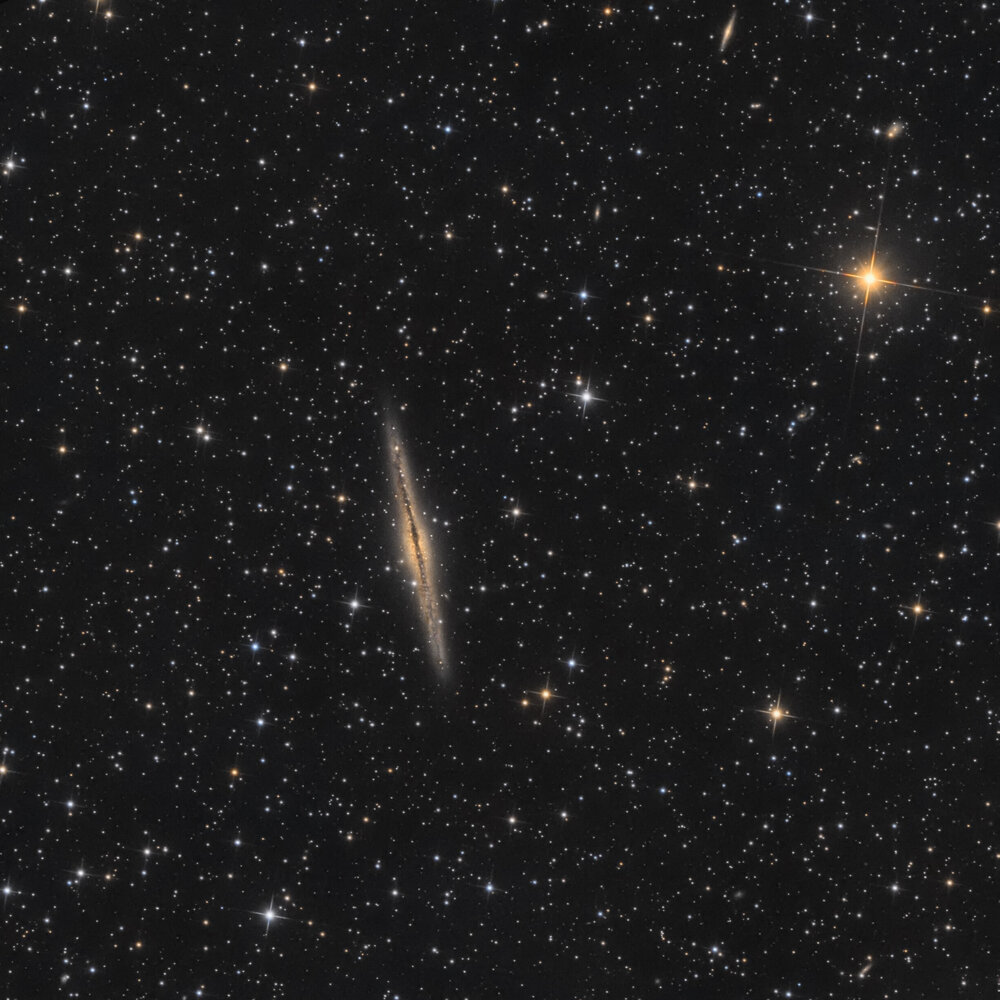 ngc891v2.thumb.jpg.7246345cacb4c9a0155b3db193eea5bc.jpg