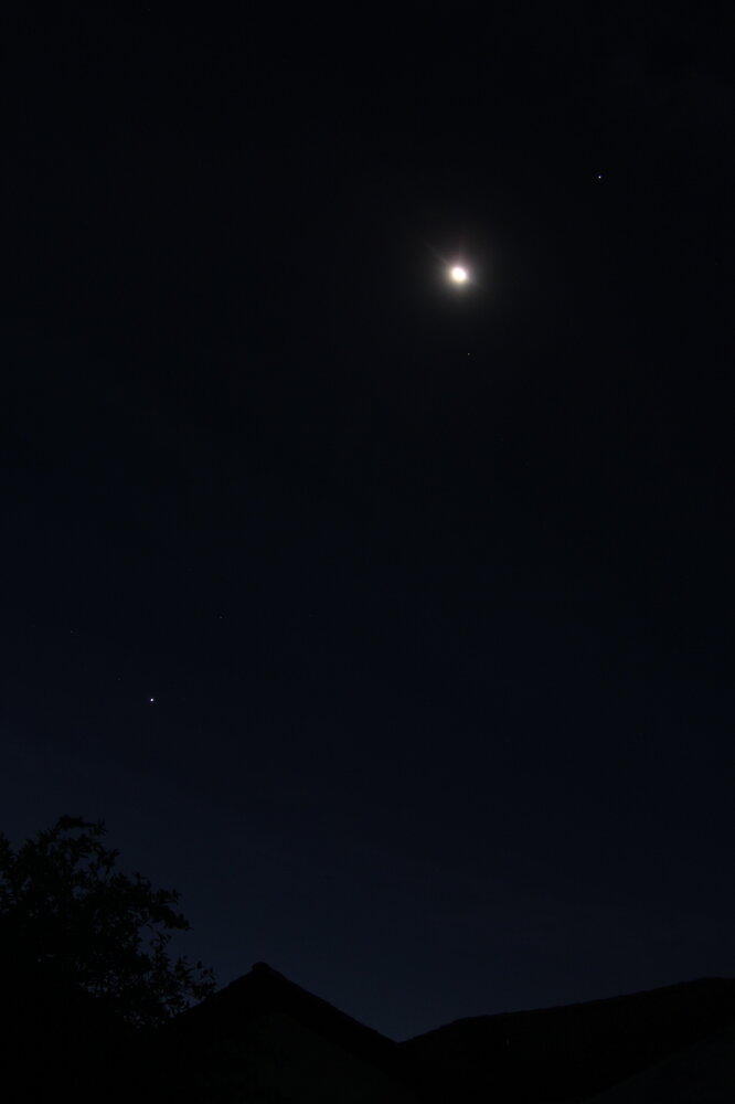 IMG_8681 10 11 21.JPG