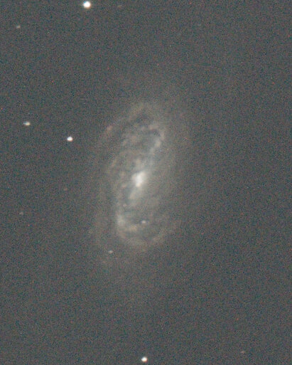 1257122178_NGC2903matriceGBRG.jpg.9e1ebc120cfbadb4101048206f4f1807.jpg
