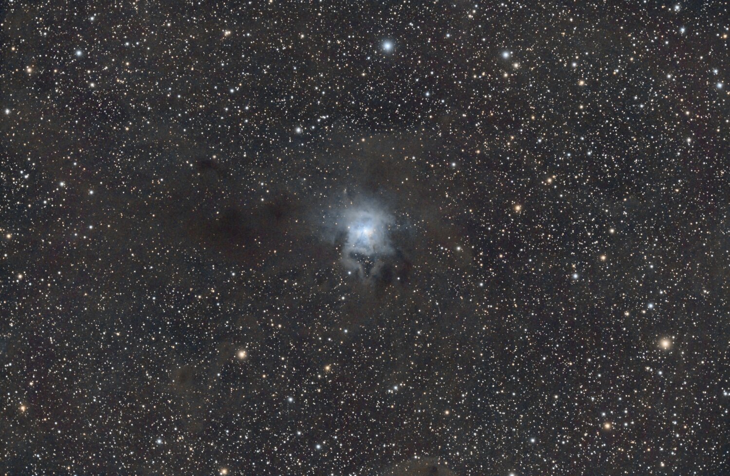 1264356311_NGC7023_RGB-pix-finale.thumb.jpg.3eb574ec1827509579b8a451ef953e7b.jpg