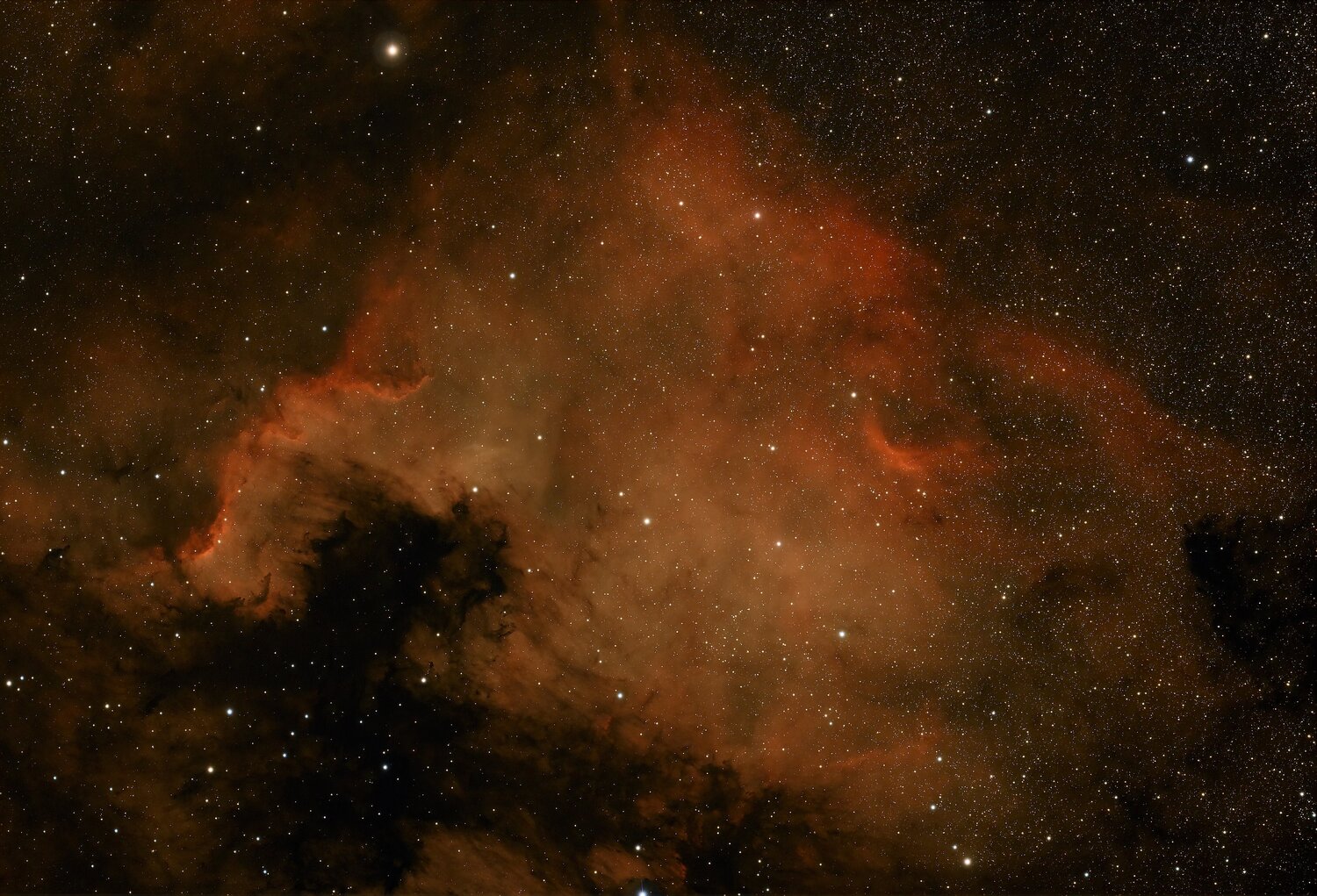 2122472984_NGC7000-NebuleuseAmriqueduNord-50AnnesLumire.thumb.jpg.372a63e9959e778de56ce6ca2a7e6b8d.jpg