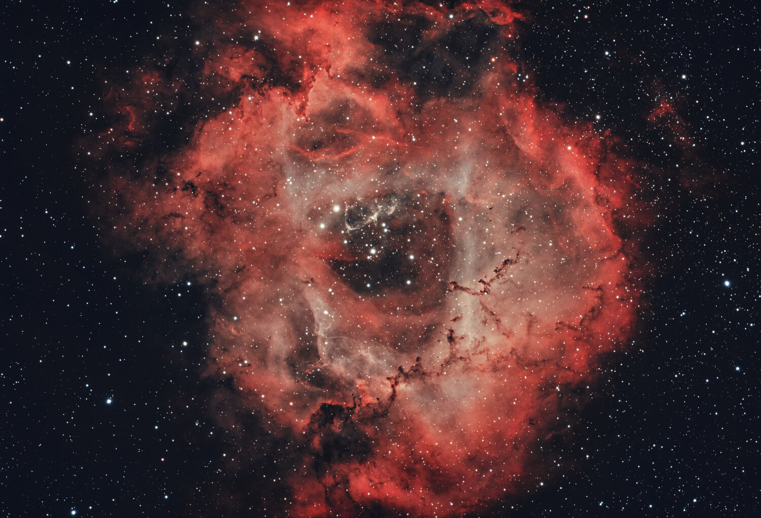 653138292_NGC7635-crop-2.jpg