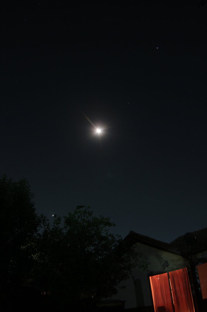 IMG_8676 9 11 21.JPG