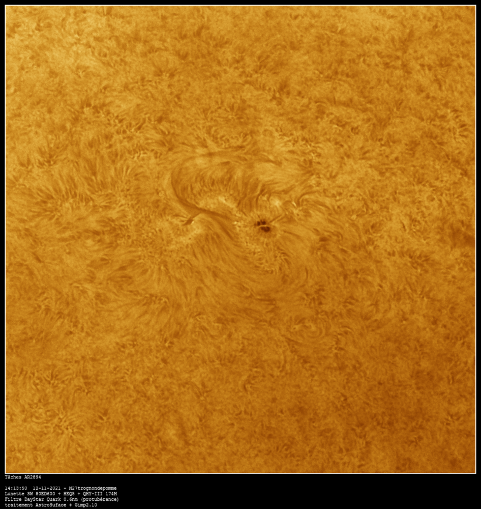 AR2894_HSX_2021112_141350_H_P10.thumb.png.bb2272c3600a4aa5593a6e56d14bf667.png