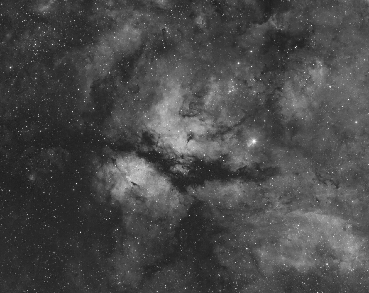 IC1318_view.thumb.jpg.971f483548edb1a5006eed24d7025adf.jpg