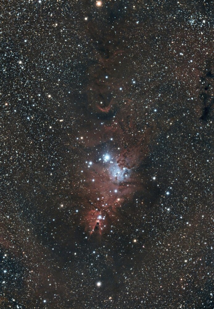 NGC2264_RGB-siril-Pix-PS-finale-R.thumb.jpg.af1ed4b415b01533d4677444829ab295.jpg