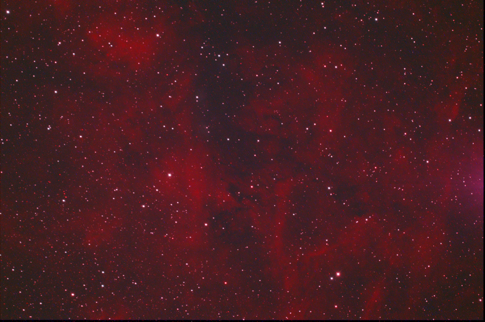 201899109_NGC6914_20x1200s_1200s_WithDisplayStretchmini.png.802752587bd24909966676f112c7b0fa.png