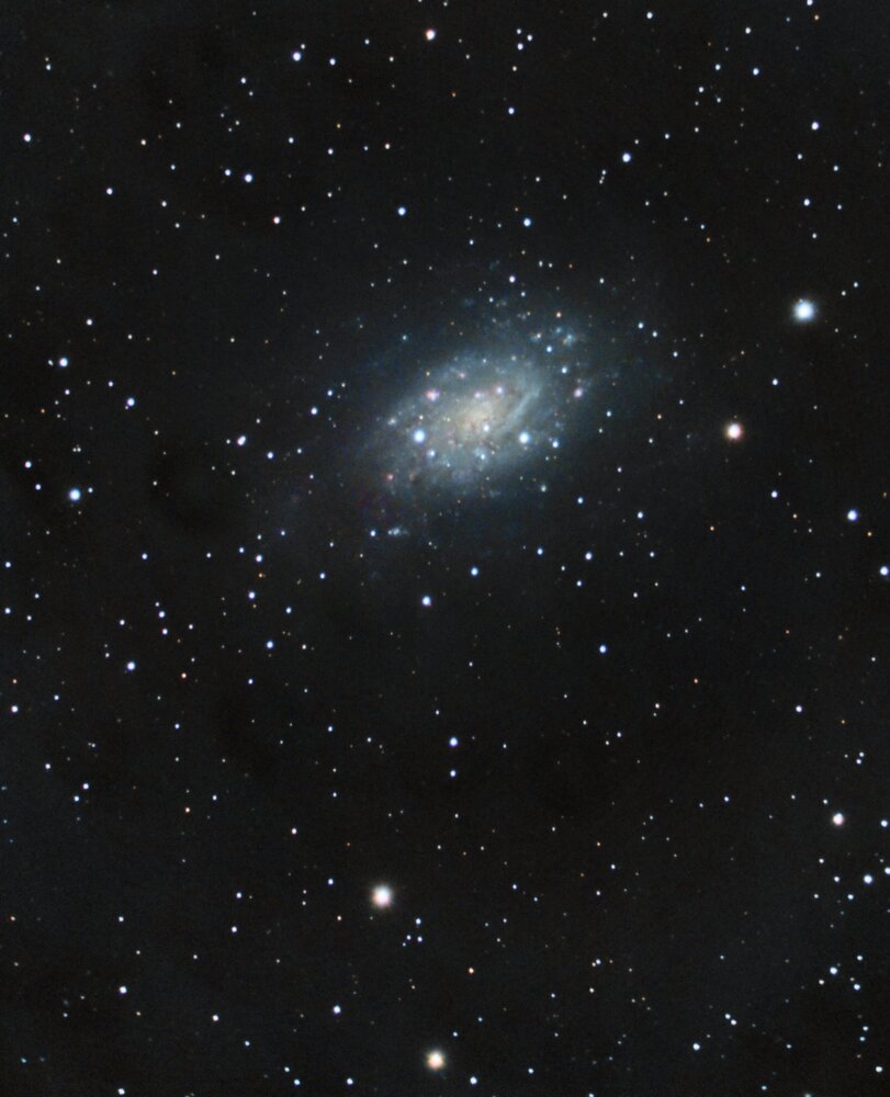 963683417_NGC2403-C8_RGB-pixfinale.thumb.jpg.187a674f0175eb385631b152ff438530.jpg