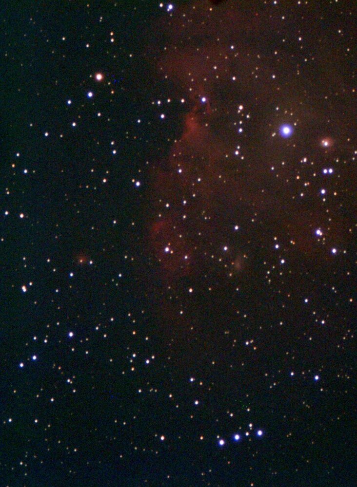 tete de singe ngc2174.jpg