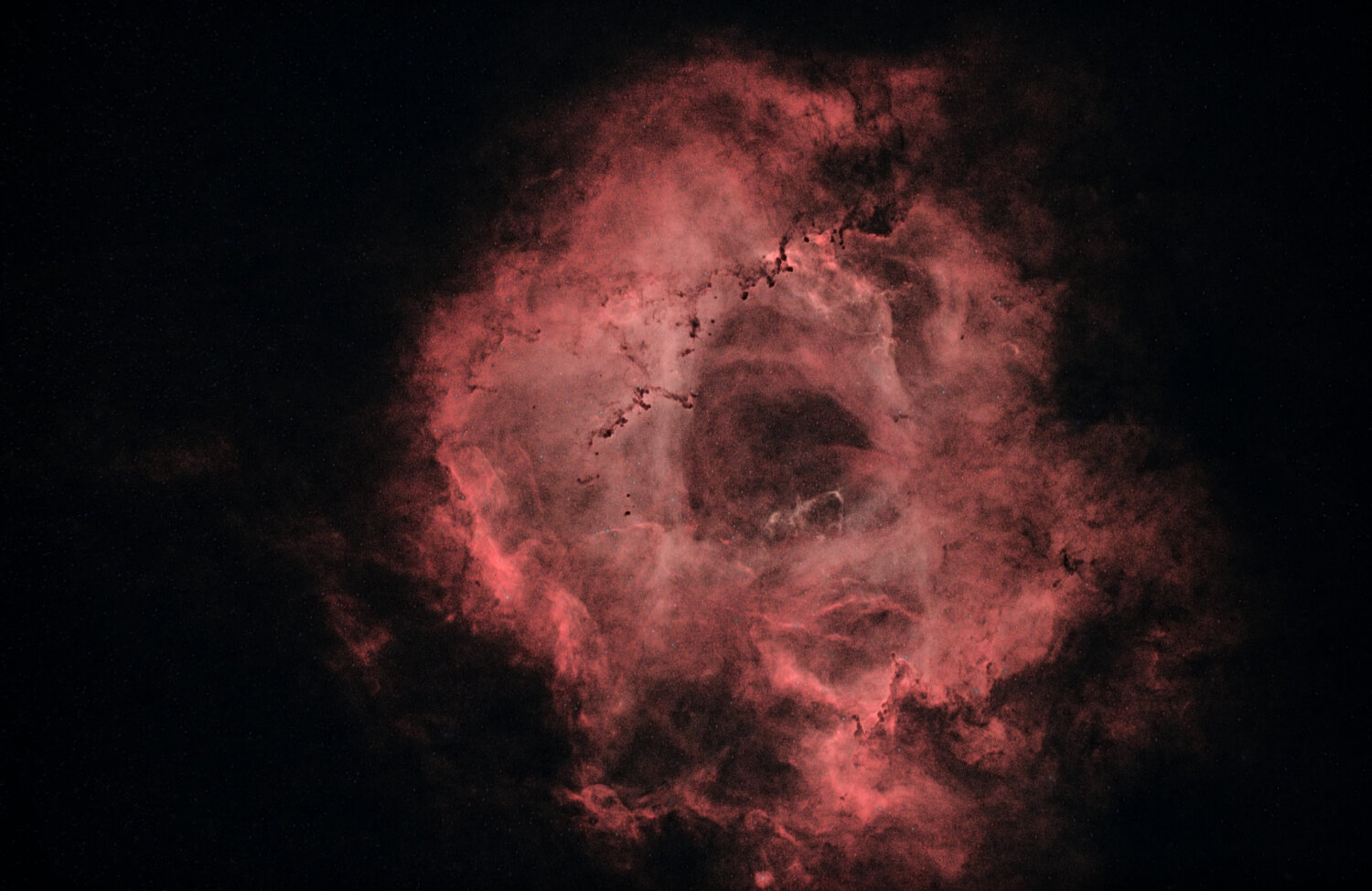 Rosette Starless 1.jpg