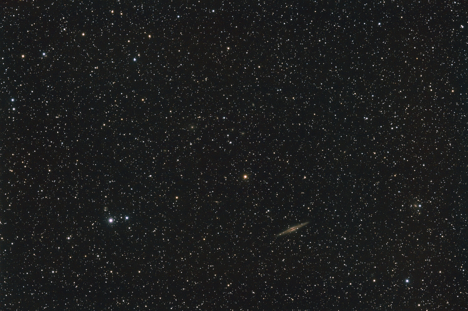 20220115-Ngc891-SiriL-RT2.thumb.jpg.e2d4373f284ae565038e8b7721196127.jpg