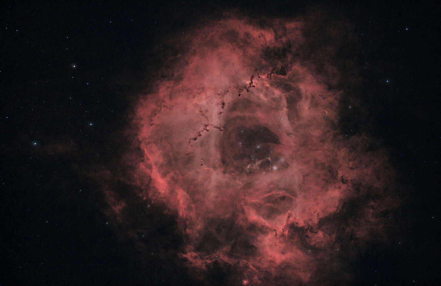 Rosette Reduction 2.jpg