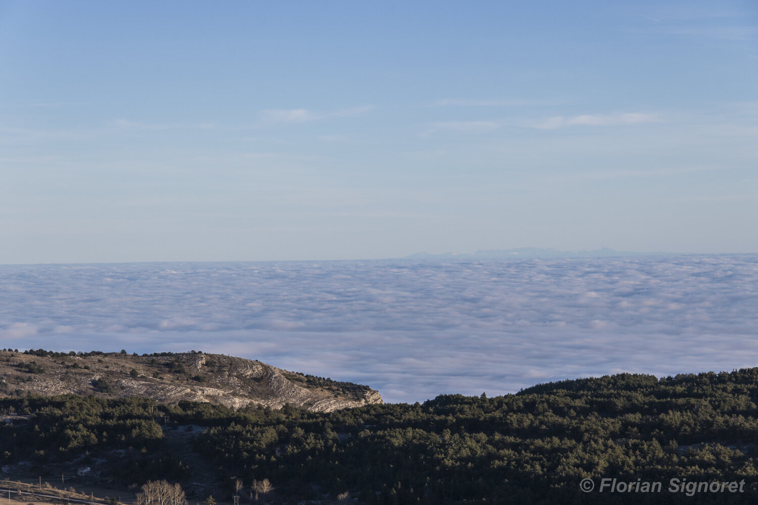 Corse-au-large-mer-de-nuages-2021-12-31-Signoret-Calern-France.thumb.jpg.417ffb069eef7282d2b8cdf6f7f60d97.jpg