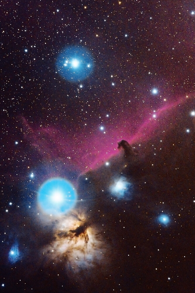 Horsehead_500_3.jpg
