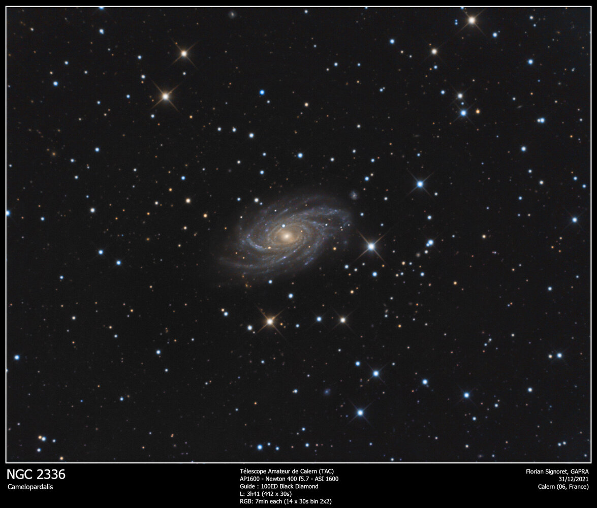 NGC2336.thumb.jpg.9fe356575d09d763ce319fe9f3713a36.jpg