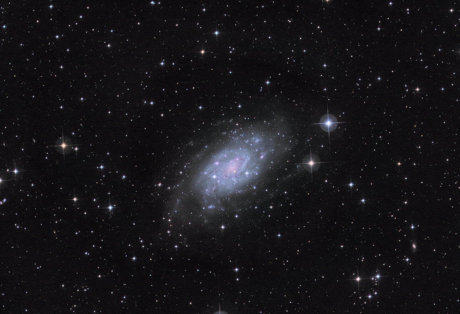 NGC2403.thumb.jpg.ec9d83f179b7328b4cb245a95a72cfb7.jpg