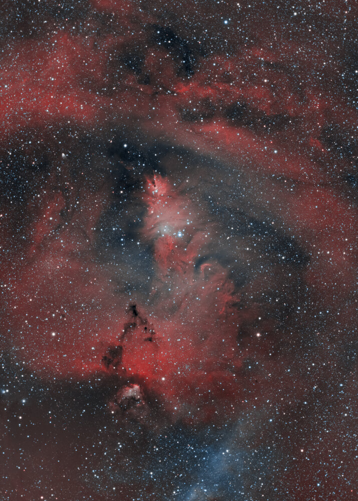 final_NGC2264_H-HOO-reduceStar.thumb.jpg.a75bcabb53cb4c91bbf37114df4c1505.jpg