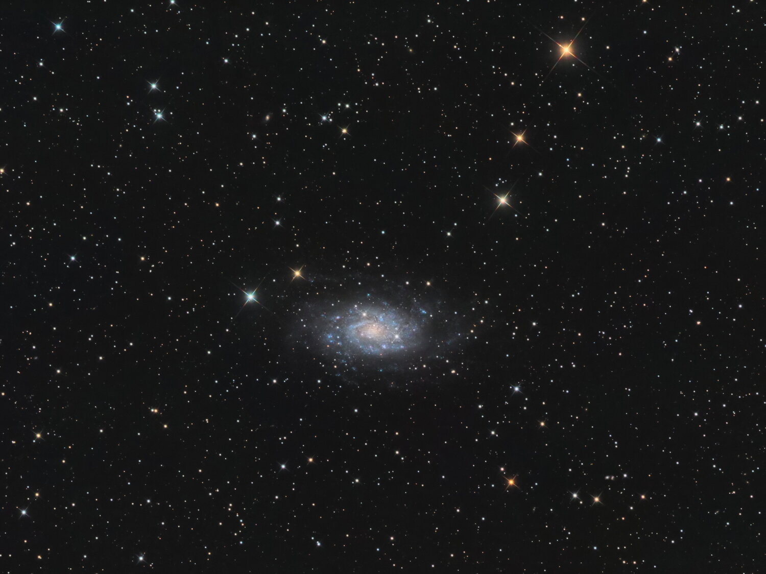 ngc2403_dx.thumb.jpg.50f7771129e2343710fb58774e699ed6.jpg