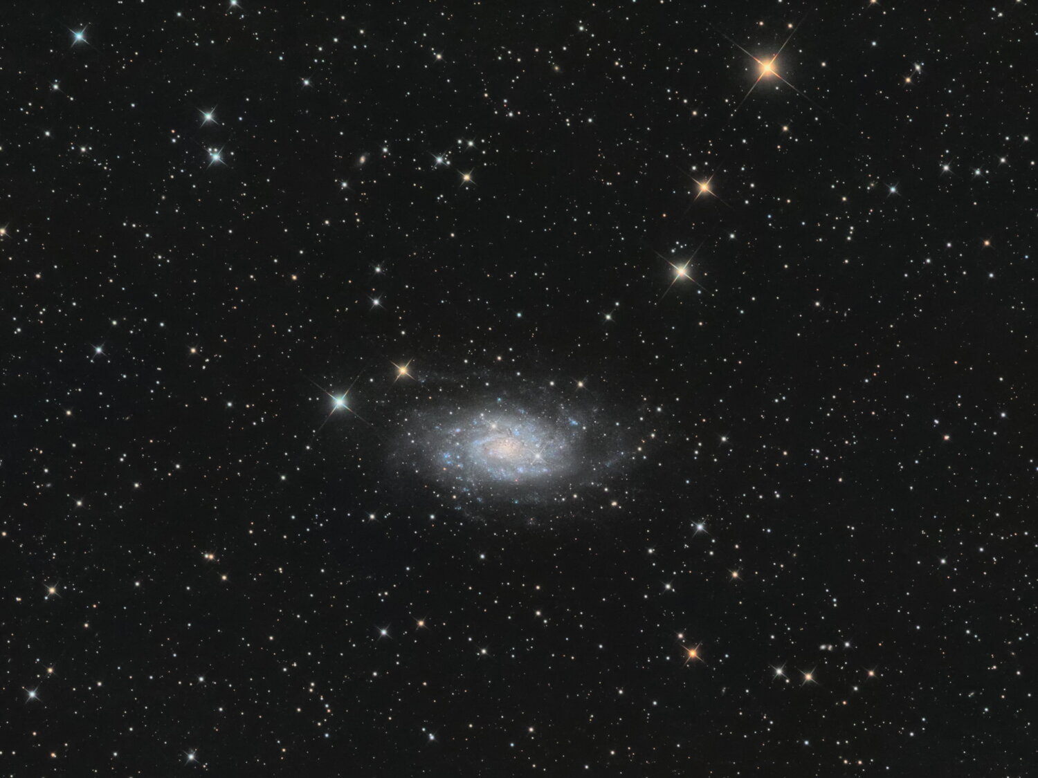 ngc2403_finale.thumb.jpg.bfa76be278254069455ff12df67e3e31.jpg