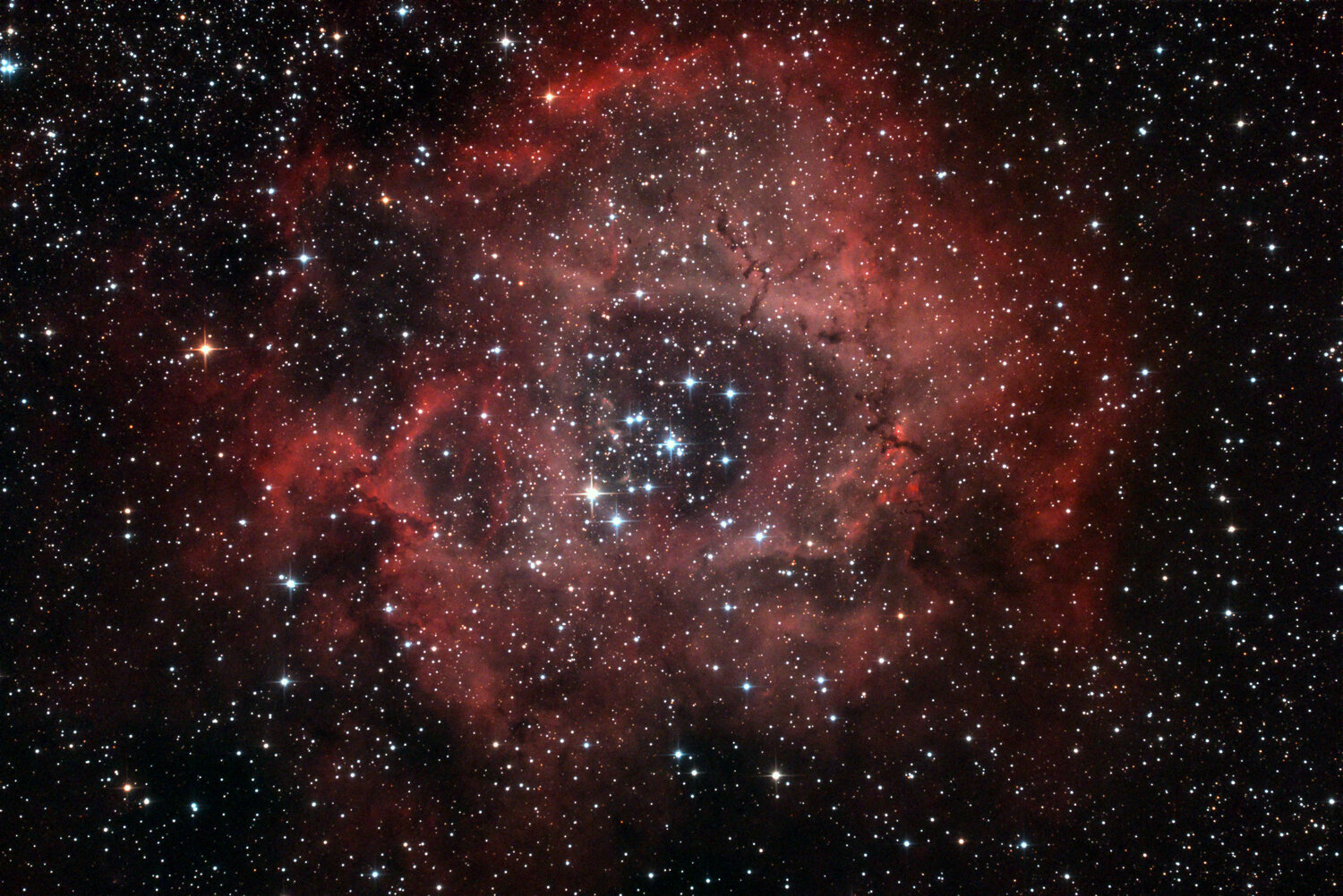1763498015_NGC2237Nbuleusedelarosette.jpg