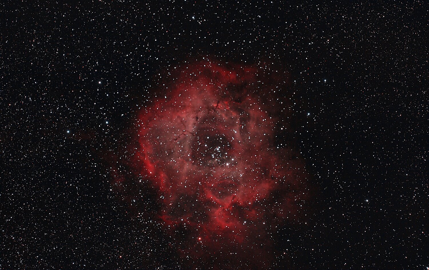 NGC2237-2602-RR.thumb.jpg.9bc2675f4807241e2f3cd746629d1afa.jpg