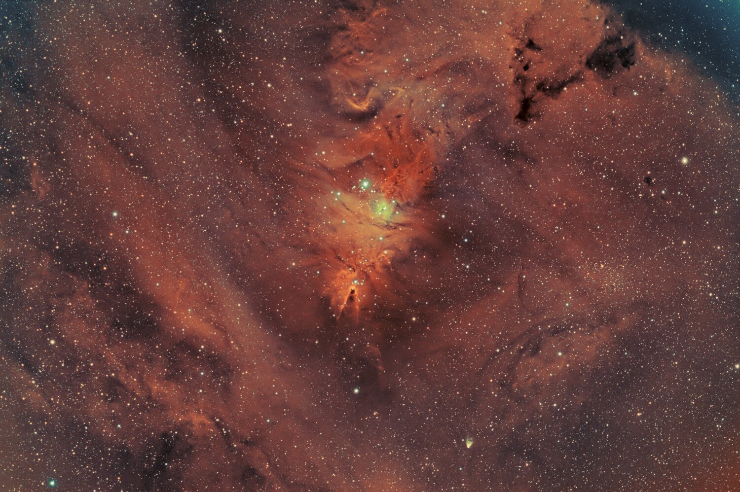 NGC2264.thumb.jpg.bcd3d256bd7e382798f94b908cb3e9f7.jpg