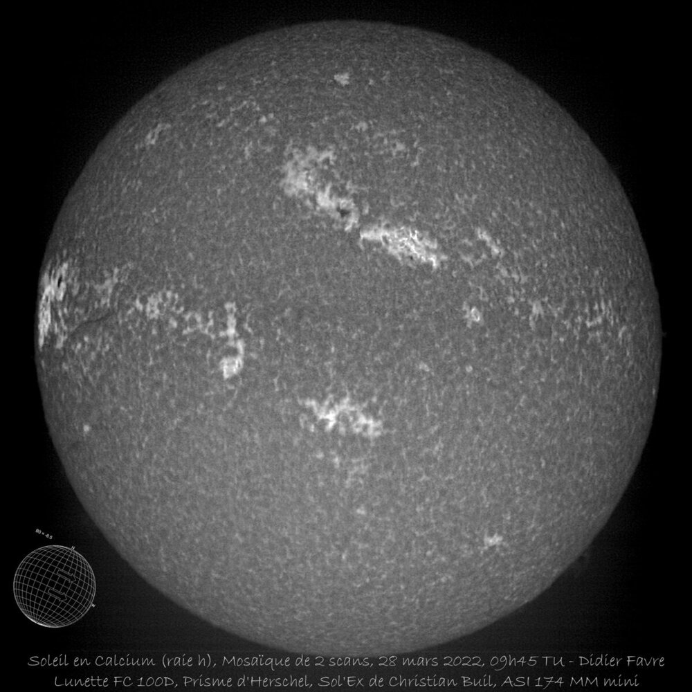 20220328 10H02 TU MOSAIQUE 2 IMAGES CALCIUM FC 100D WEB.jpg